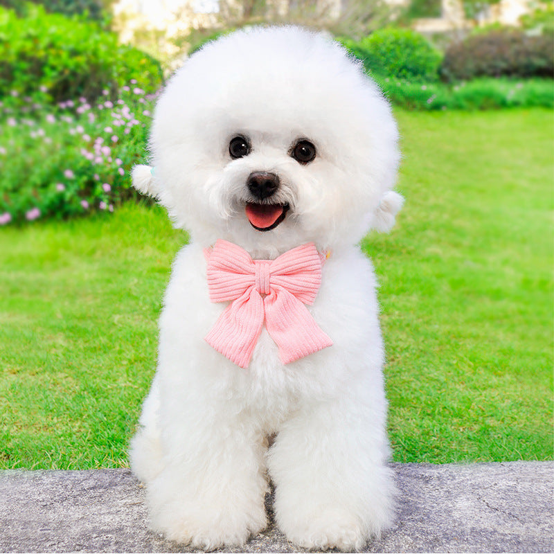 Pet Outdoor Leash and Harness 