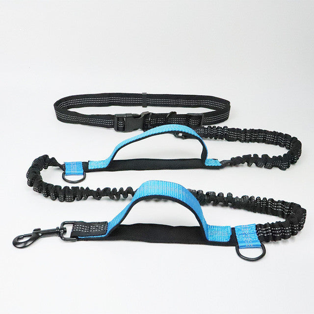Adjustable Pet Harness Collar Leash