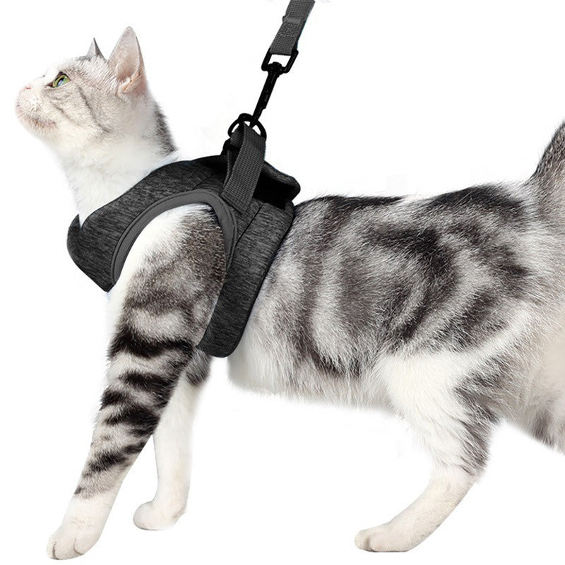 Breathable Lightweight Pet Chest Strap Leash