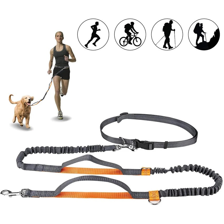 Adjustable Pet Harness Collar Leash