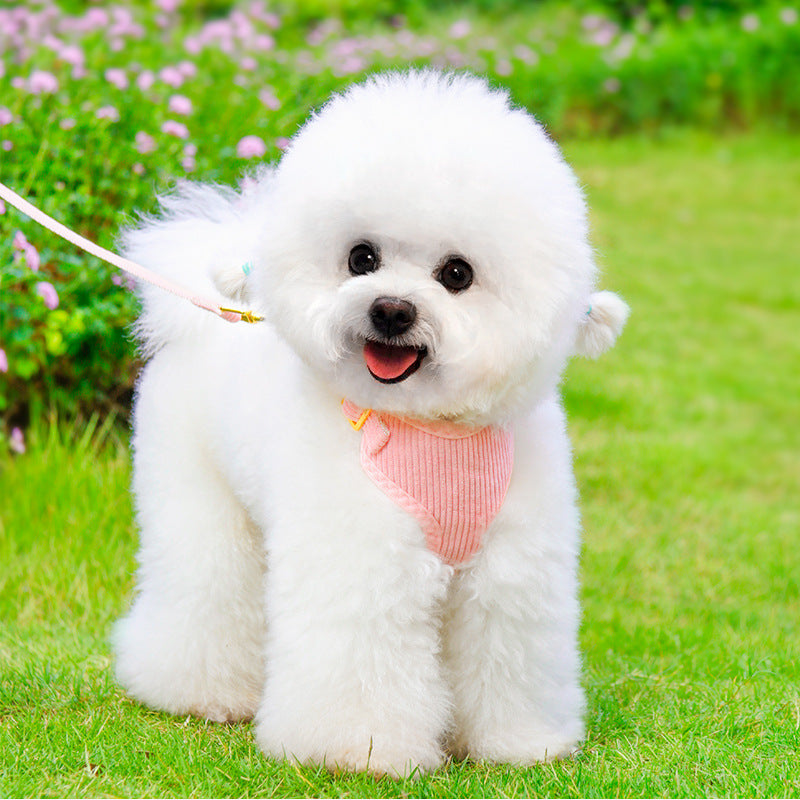 Pet Outdoor Leash and Harness 
