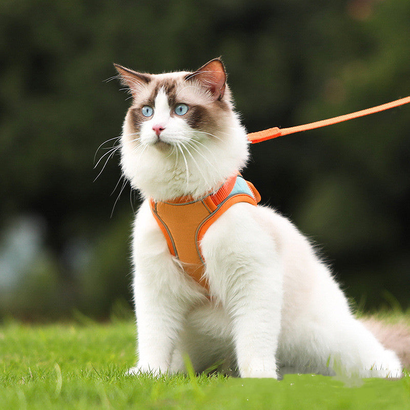 Anti Escape Reflective Pet Harness Leash