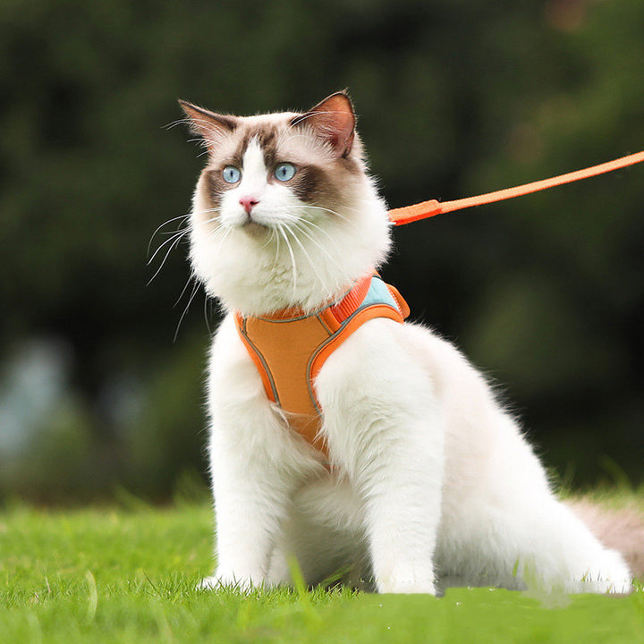 Anti Escape Reflective Pet Harness Leash