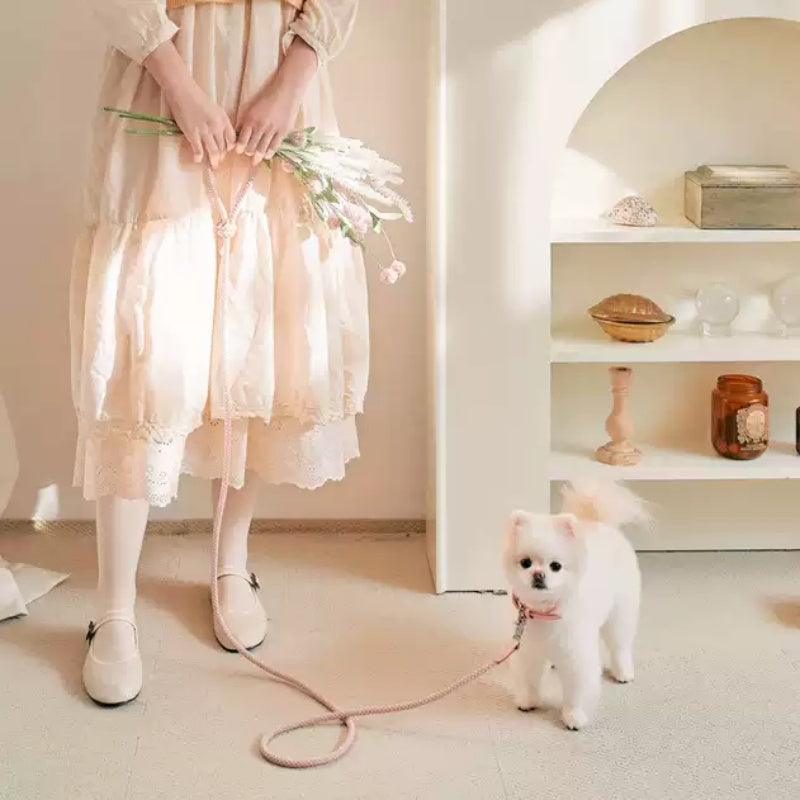 Leather Pet Collar Handheld Leash