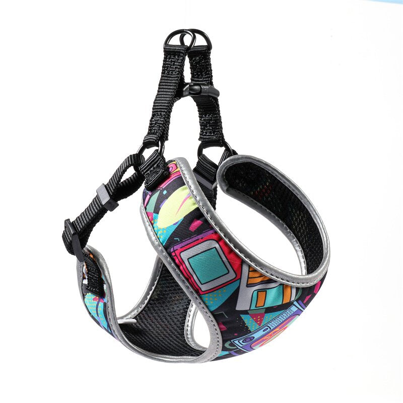 Pet Walking Harness