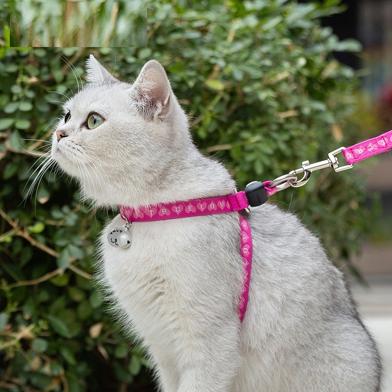 Pet Bell Chest Strap Vest Leash