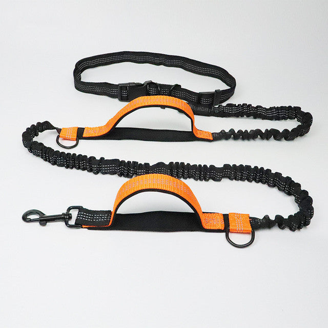 Adjustable Pet Harness Collar Leash