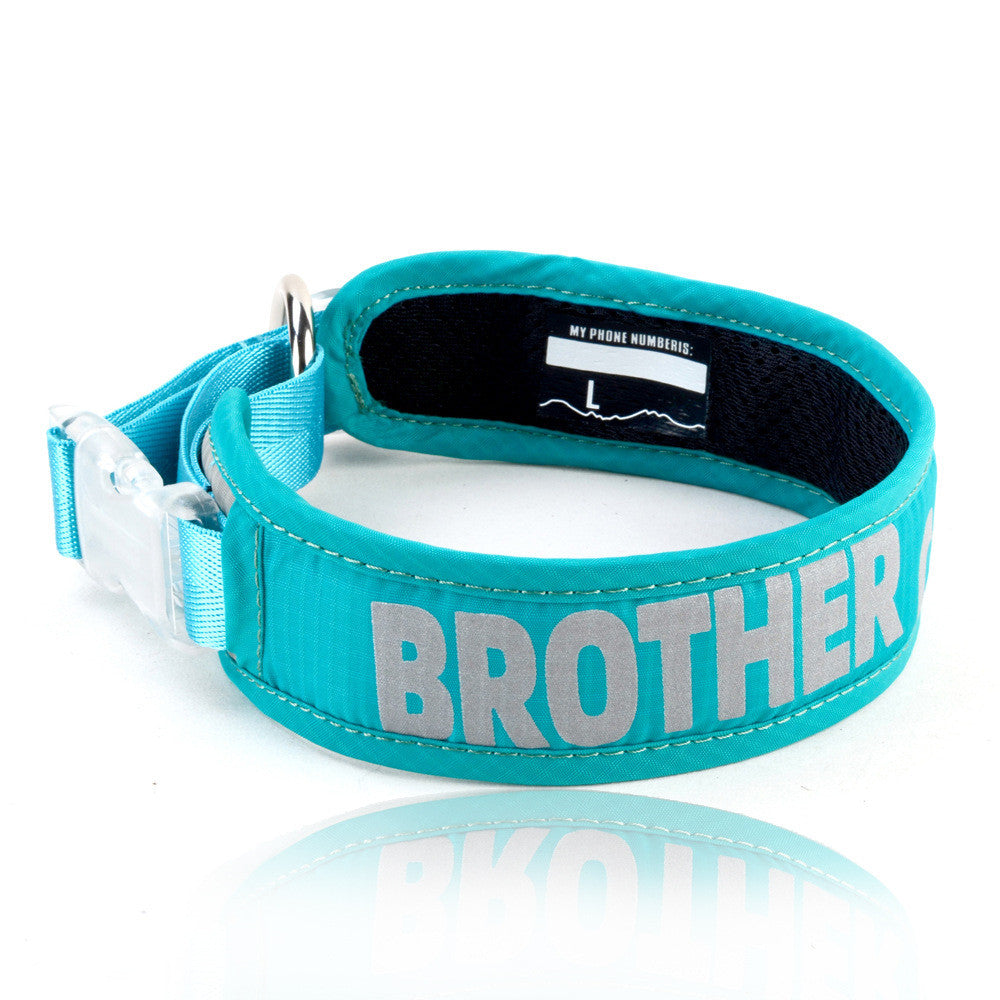 Explosion Proof Pet Chest Strap Leash with Storage Bag
