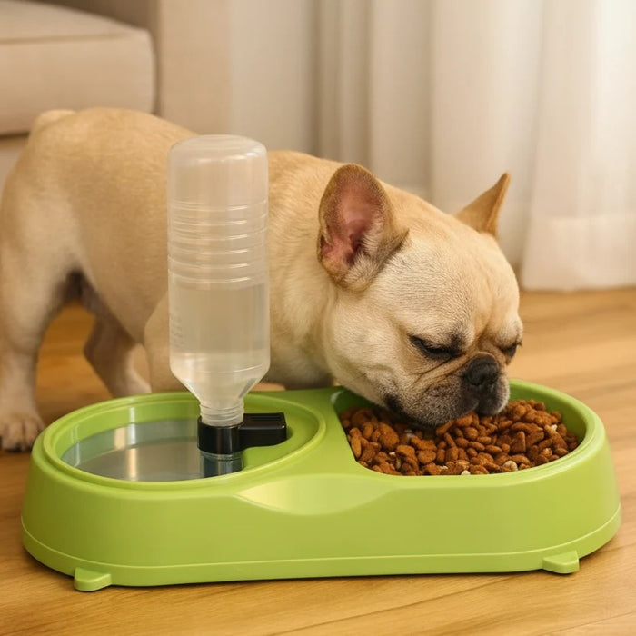 Pet Feeding